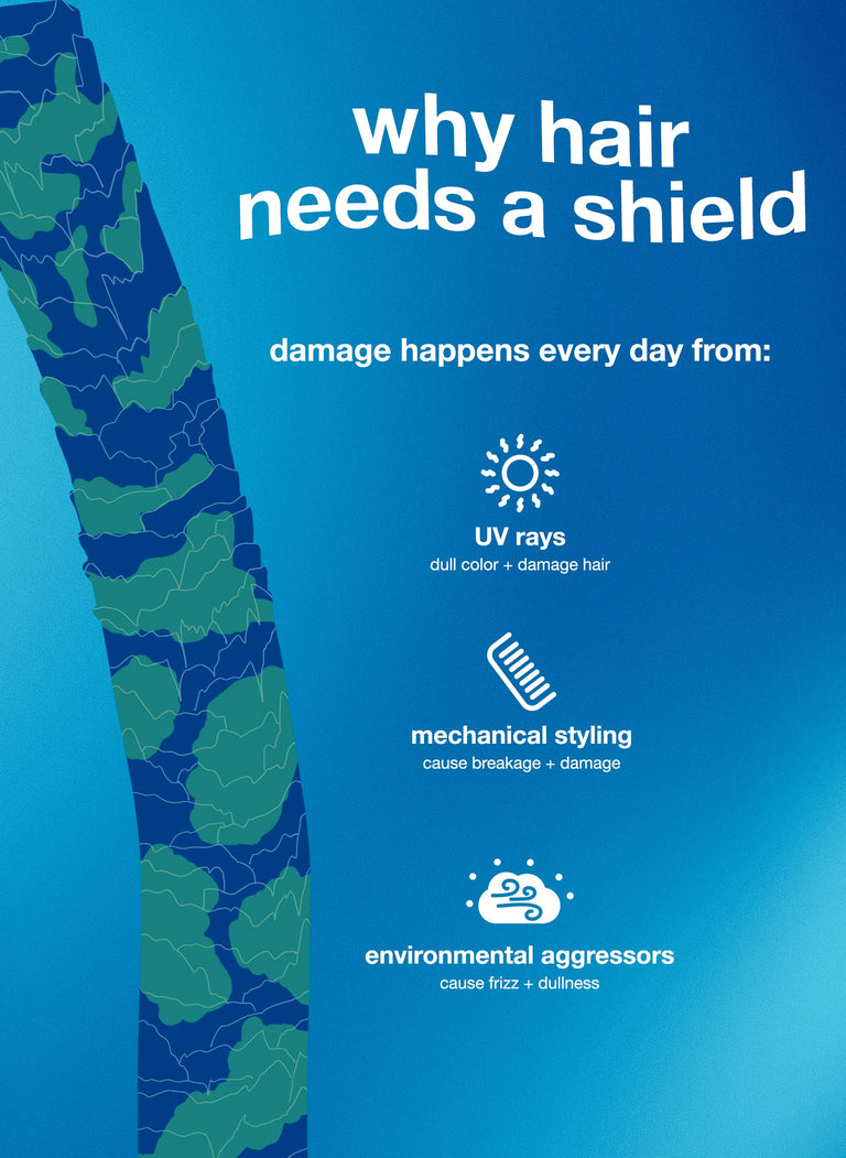 image-of-hair-strand-graphic-why-hair-needs-a-shield-damage-happens-every-day-from-uv-rays-mechanical-styling-environmental-aggressors-damage-happens-at-every-level